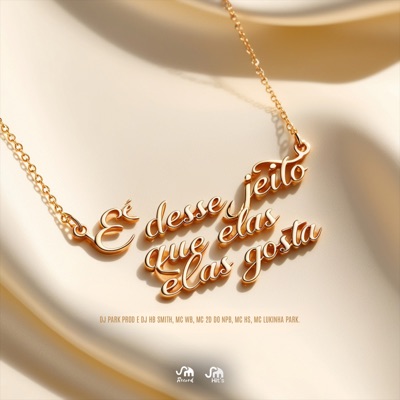 É Desse Jeito Que Elas Gosta (feat. MC 2D DO NPB, HS PCM & Mc Lukinha Park) - Single