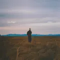 Ashes