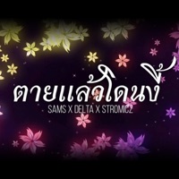ตายแล้วโดนงี้ - Single - Sams, delta & STROMiCz