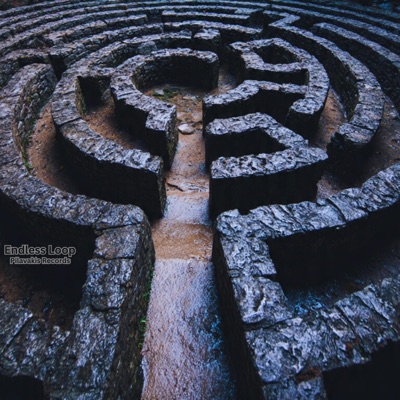 Endless Loop - Single