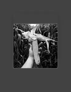 Drew Culhane을(를) 듣고, 뮤직 비디오를 보고, 약력을 읽고, 투어 일정 등을 확인하세요!