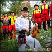 Cât Ai Fost Pădure Deasă — Daniel Dogaru