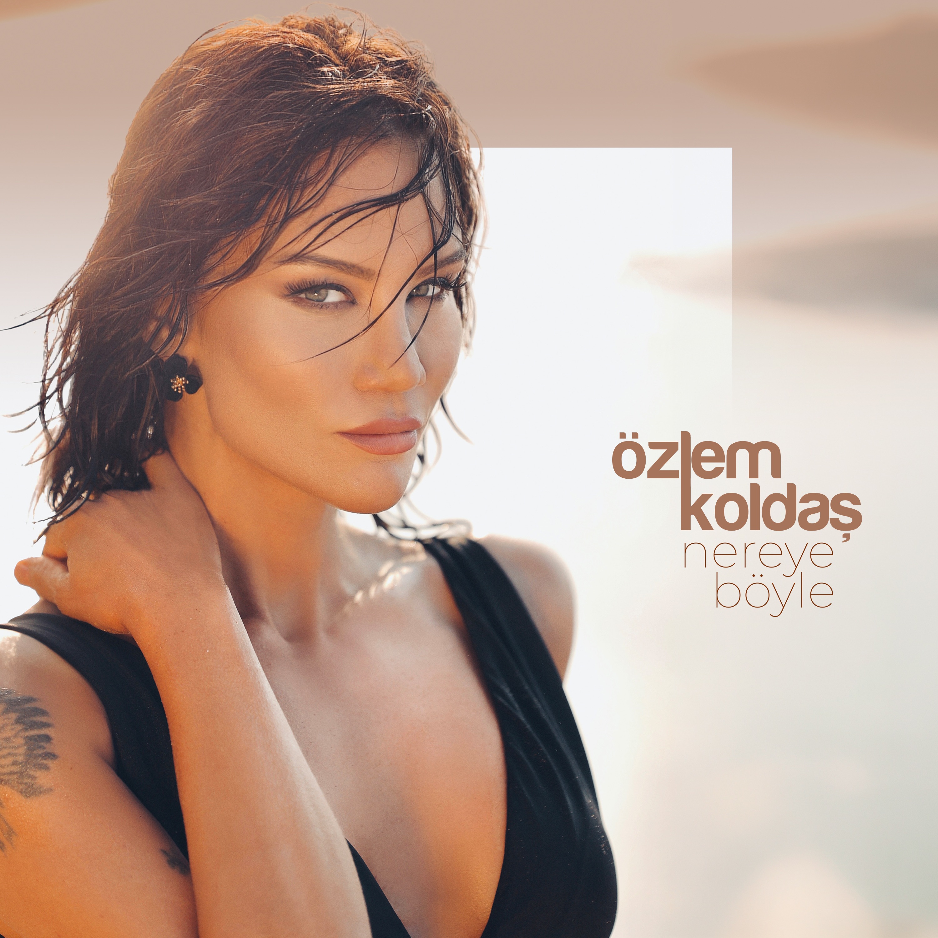 Nereye Böyle - Single