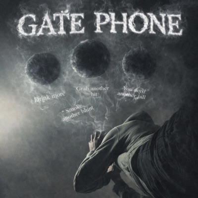 Gate phone - Single