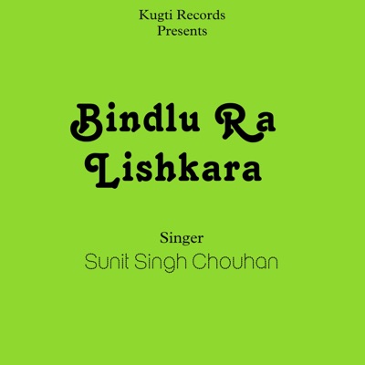 Bindlu Ra Lishkara - Single