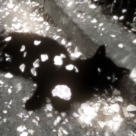 bounce out with that x blind spots Spetter, jxyytf.mp3 & Malibuu