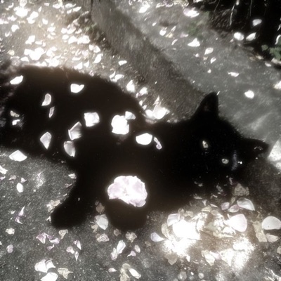 bounce out with that x blind spots - Single