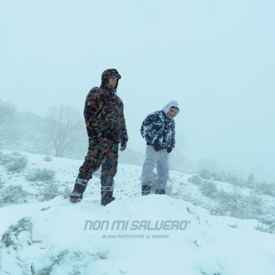 Non Mi Salverò - Single
