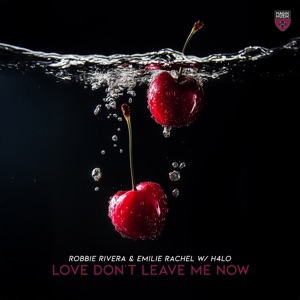 Love Don’t Leave Me Now (Extended Mix)