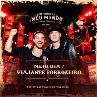 Meio Dia / Viajante Forrozeiro (Ao Vivo) - Single - Wesley Safadão & Zé Vaqueiro