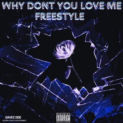 Why Dont You Love Me Freestyle - Single