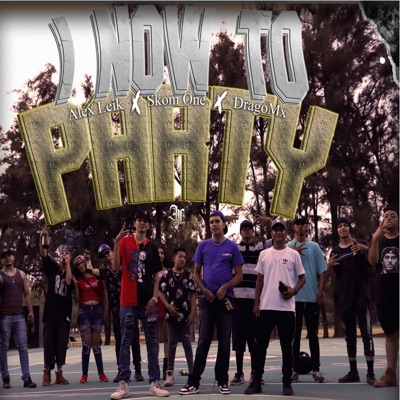 I Now To Party (feat. Skom One & Drago Mx) - Single