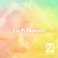 Lo-Fi Nature