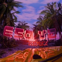 Eso Va (Remix) [feat. Pin, GULAX VIRAL & JcovKTM] - Single - Nabrian