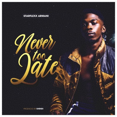 Never Too Late - Single