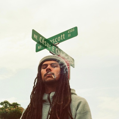 Duplex - Single