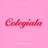 Colegiala (Remix)