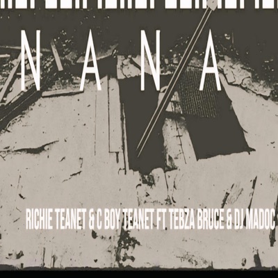 Nana (feat. Tebza Bruce & Dj Madoc) [Summer Version] - Single