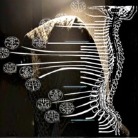 HORROR RADIO: BETWEEN THE EYE - EP - DYINGHILL