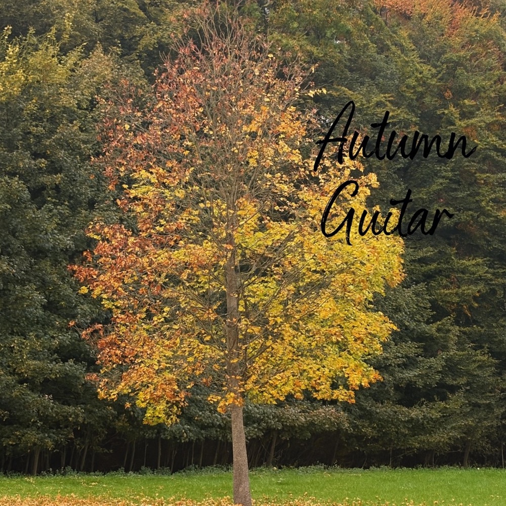 Обложка альбома «Autumn Guitar - Single» — Harry Alfter