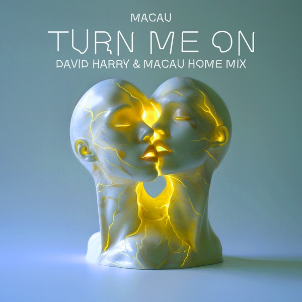 TURN ME ON (David Harry & Macau Home Mix) - Single