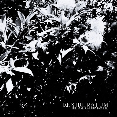 Desideratum (feat. pō'edik) - Single