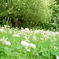 Metal - Single - Kip Jade