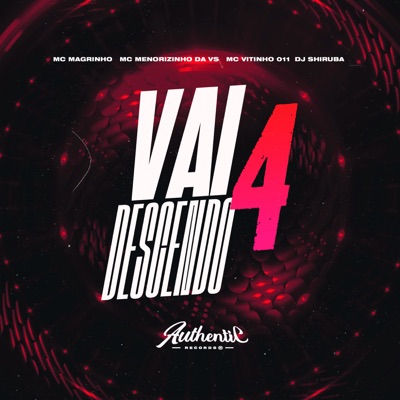 Vai Descendo 4 (feat. Mc Magrinho & MC Vitinho 011) - Single