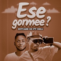 Esegormee? (feat. Obili) - Single - HotCake GH