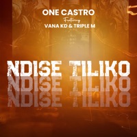 Ndise Tiliko (feat. Triple M & Vana KD) - Single - One Castro