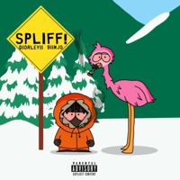 SPLIFF! (feat. DiorLevii) - Single - Biinjo