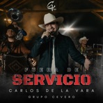Fuera De Servicio - Single