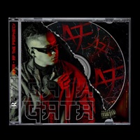 Gata (feat. Bossavescomohe) - Single - AF The Prophecy