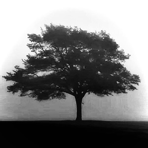 Same Day - Single