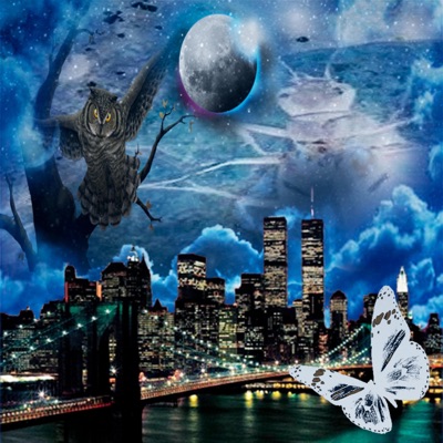 NIGHT OWL (feat. Seattle temporarymixholder) - Single