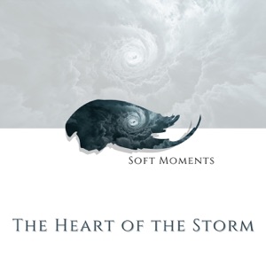 The Heart of the Storm