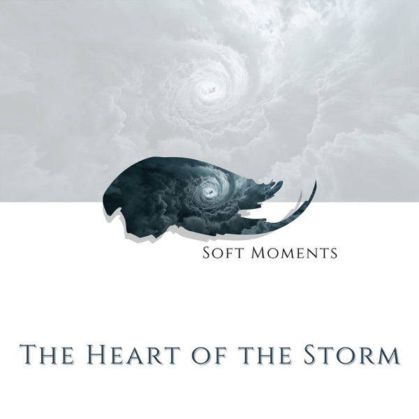 The Heart of the Storm