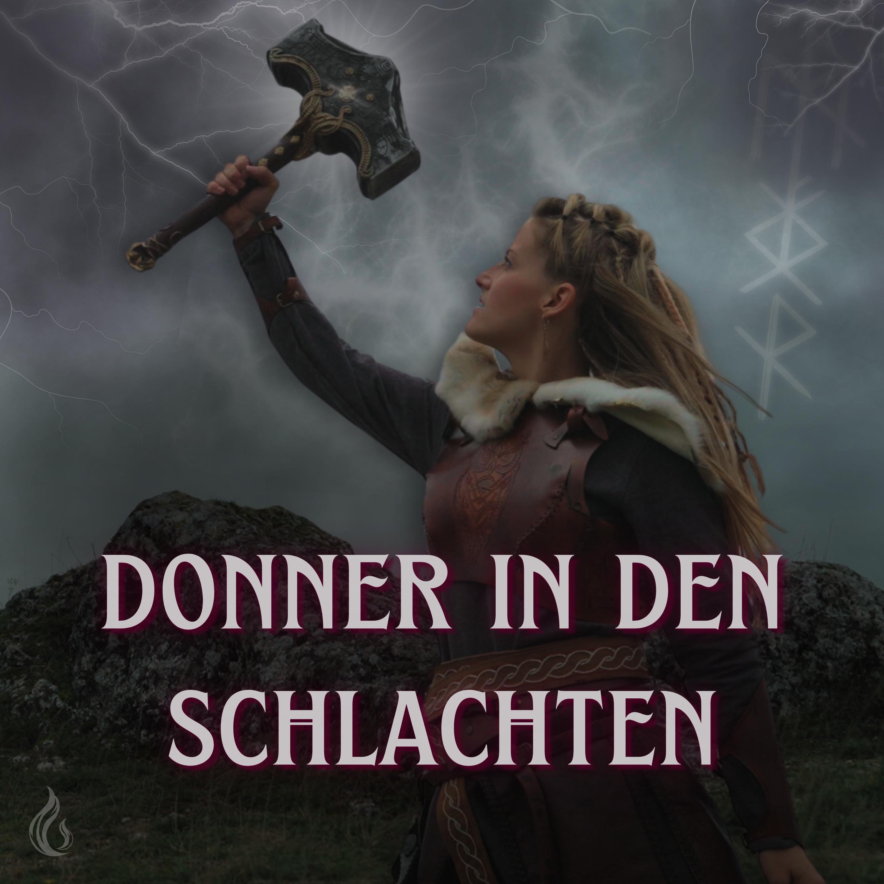 Donner in den Schlachten - Single
