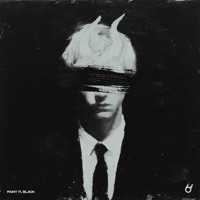 Paint It, Black - Single - Crypto & Liza