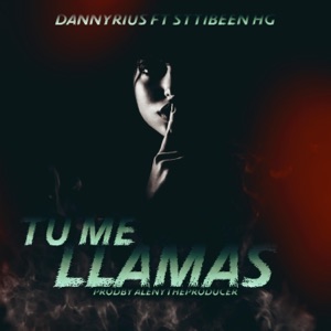 Tu Me Llamas (feat. Sttibeen Hg) - Single