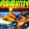 Playahitty - The Summer Is Magic (Radio Mix)