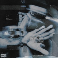 Familiar - Single - Trip Carter