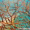 Río - Karlchen lyrics