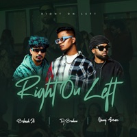 Right On Left (feat. Nawaj Ansari & Bibash Jk) - Single - DJ Bishow