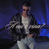 A cui e vina - Single - Andrei Ursu