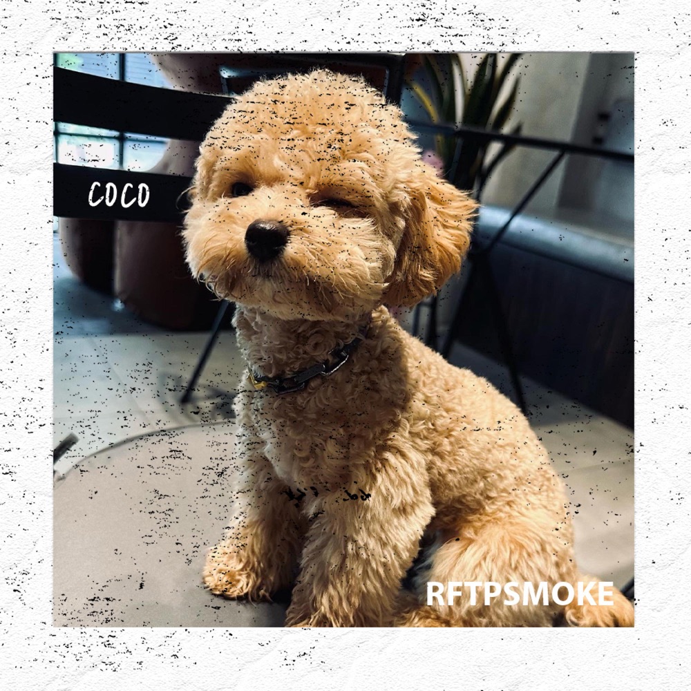 RFTPSMOKE - Coco