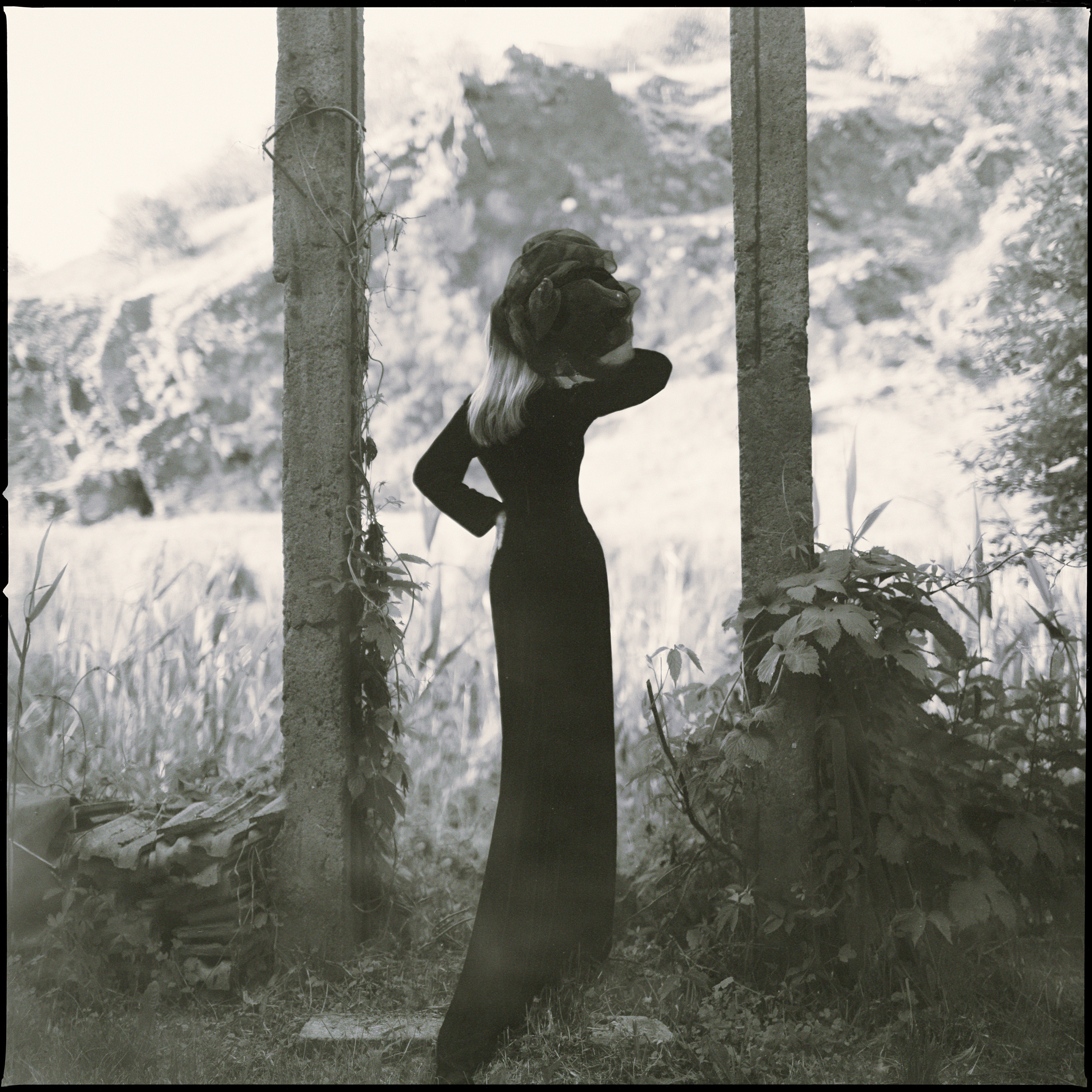 Butterflies - Single