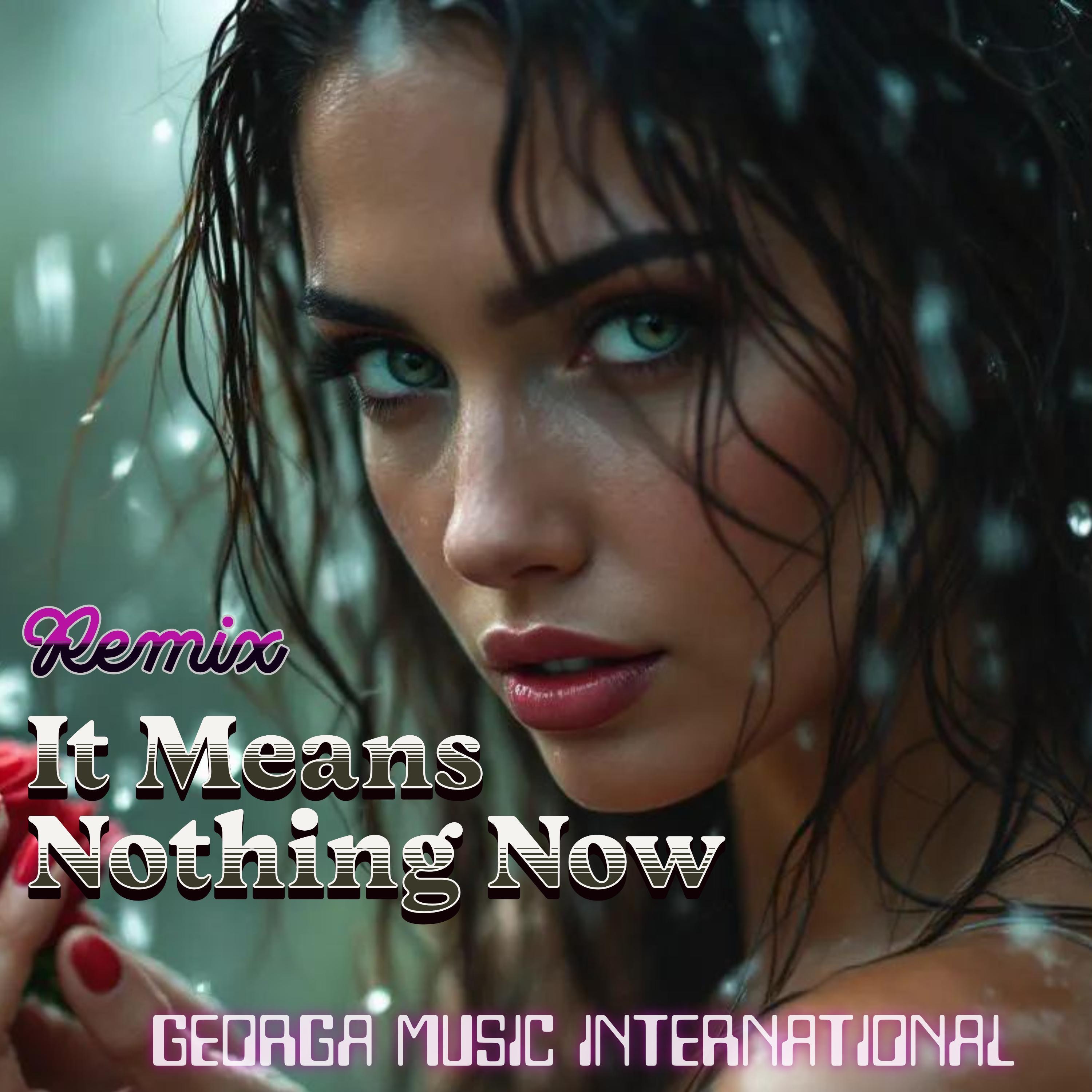 It Means Nothing Now (Remix) - Single