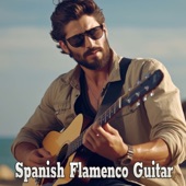 Flamenco Guitar artwork