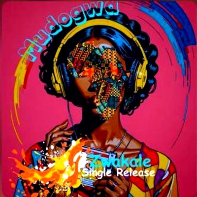 Zwa kale (feat. Nnae Mulaudzi) - Single